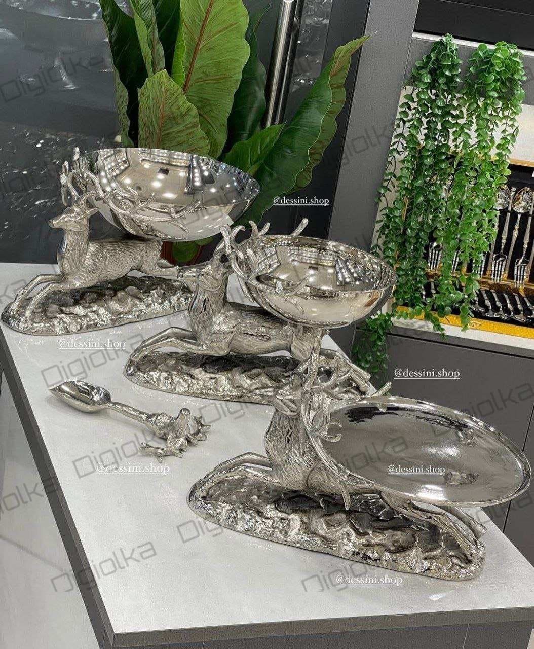 سرویس پذیرایی صخره نقره ای