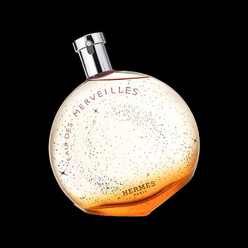 HERMES Eau des Merveilles ادوپرفیوم هرمس او دس مرویلس 100 میل