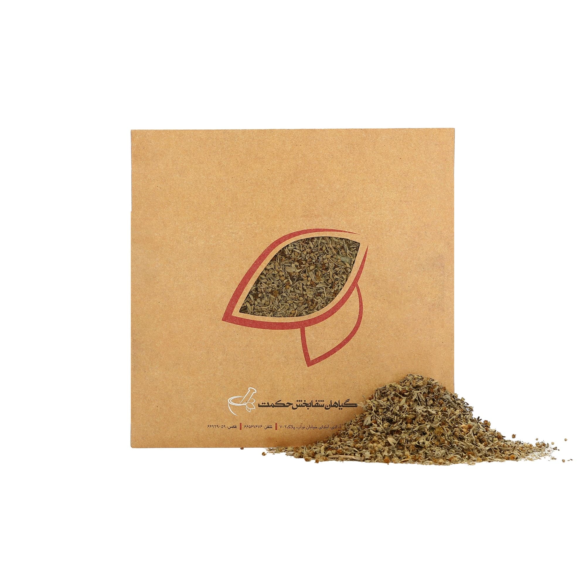 افسنطین (افسنتین) اصلی — تصویر ۶