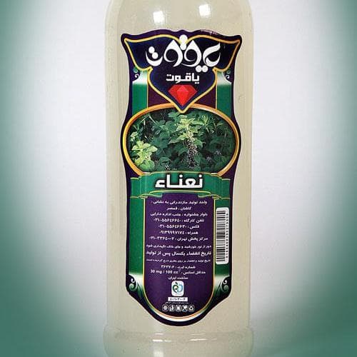 عرق نعناع یاقوت — تصویر ۲