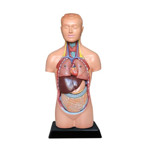 مولاژ نیم تنه مینی ساده — تصویر ۳