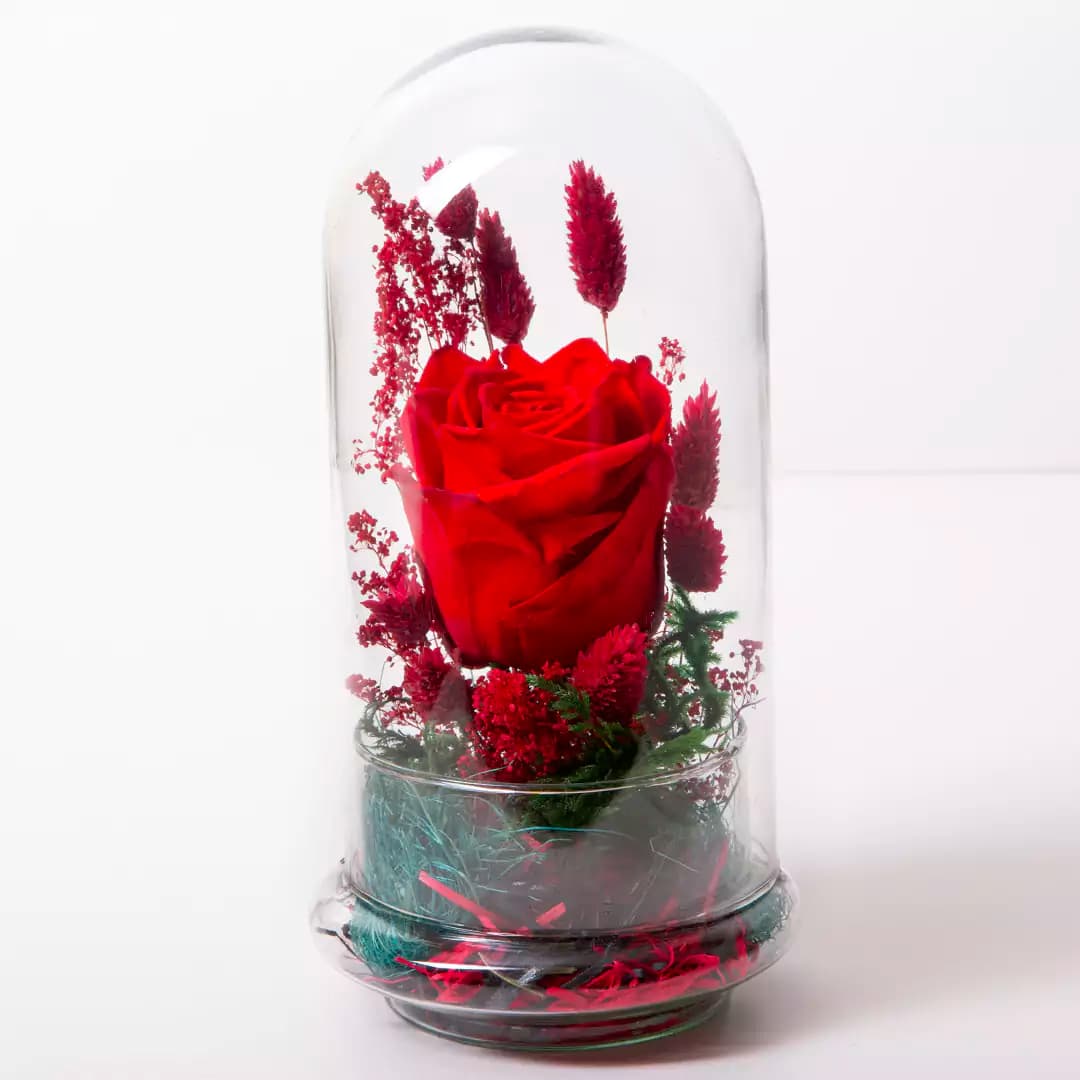 باکس شیشه ای گل رز جاودان کد 21233باختر — تصویر ۲