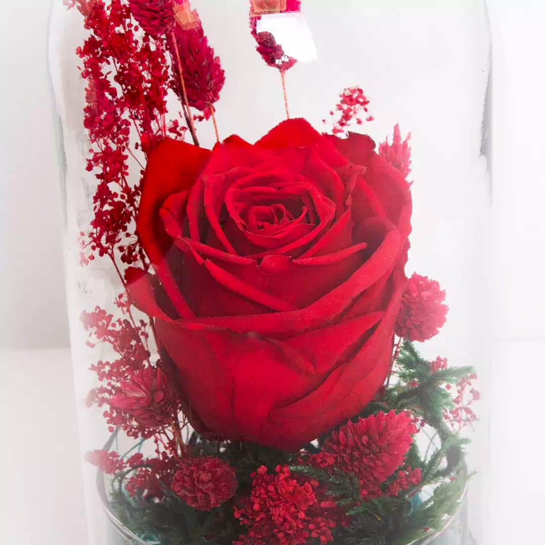 باکس شیشه ای گل رز جاودان کد 21233باختر — تصویر ۳