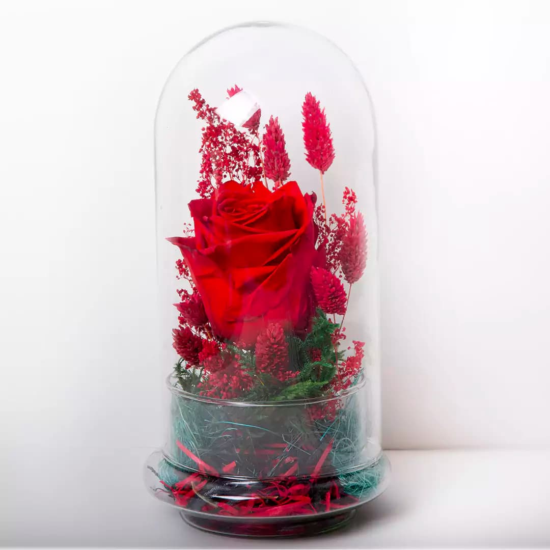 باکس شیشه ای گل رز جاودان کد 21233باختر — تصویر ۵