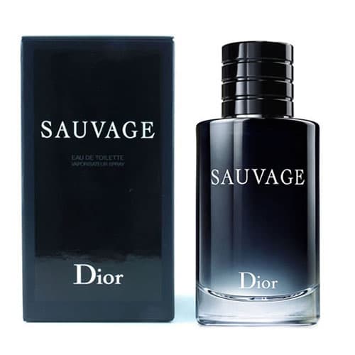 ادو تویلت دیور ساواچ مردانه ساواج | Christian Dior / SAUVAGE EDT