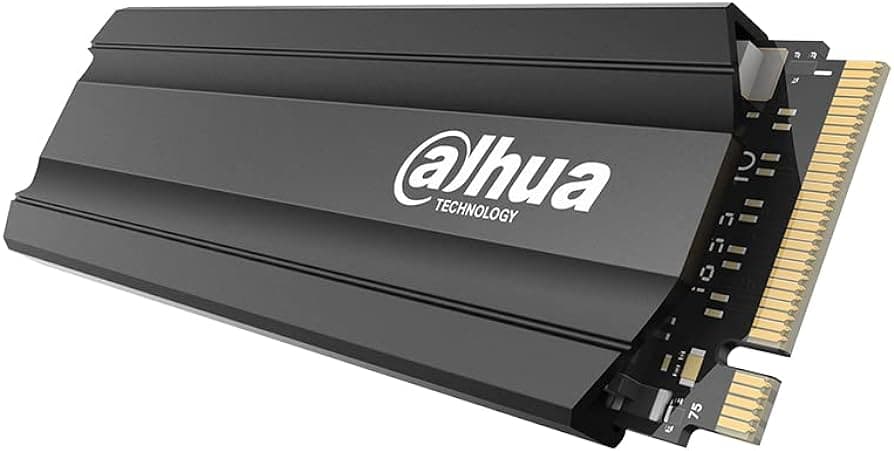 اس اس دی داهوا SSD DAHUA 256GB E900 M.2