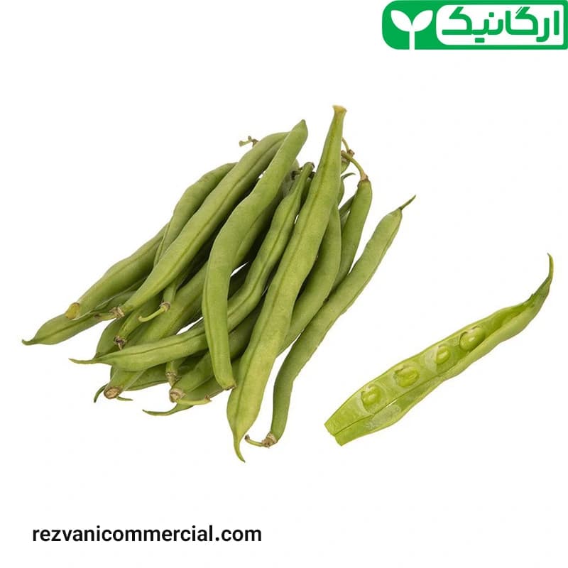 لوبیا سبز ارگانیک — تصویر ۳