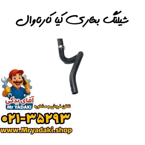 شیلنگ بخاری کیا کارناوال