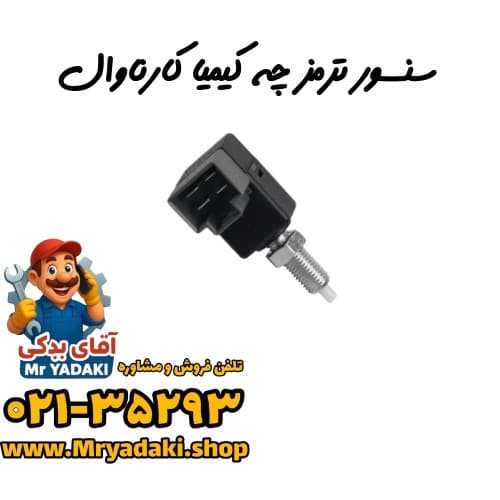سنسور ترمز چه کیمیا کارناوال