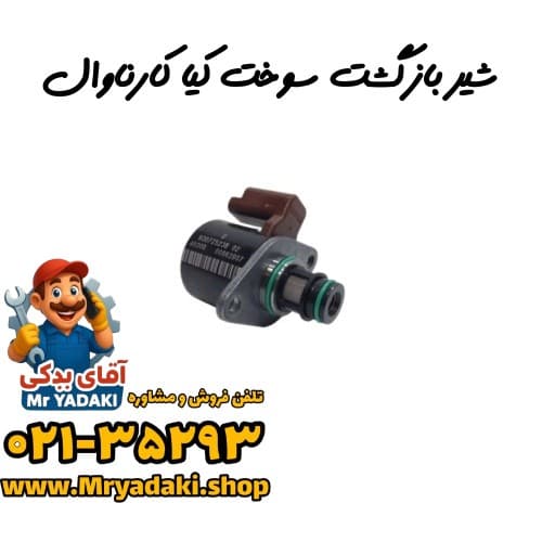 شیر بازگشت سوخت کیا کارناوال