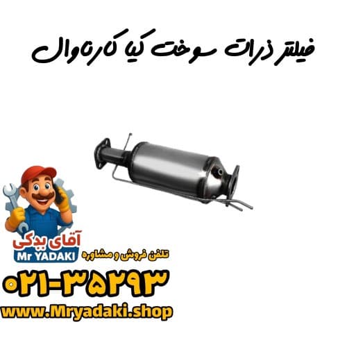 فیلتر ذرات سوخت کیا کارناوال