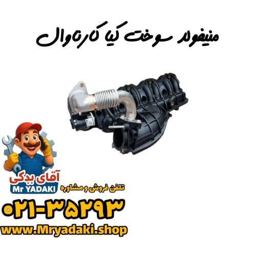منیفولد سوخت کیا کارناوال