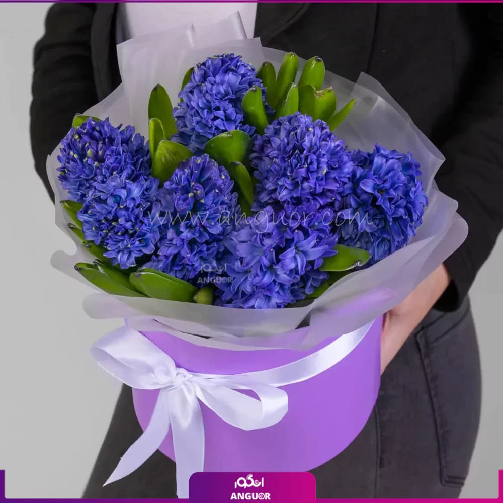 باکس گل سنبل بنفش