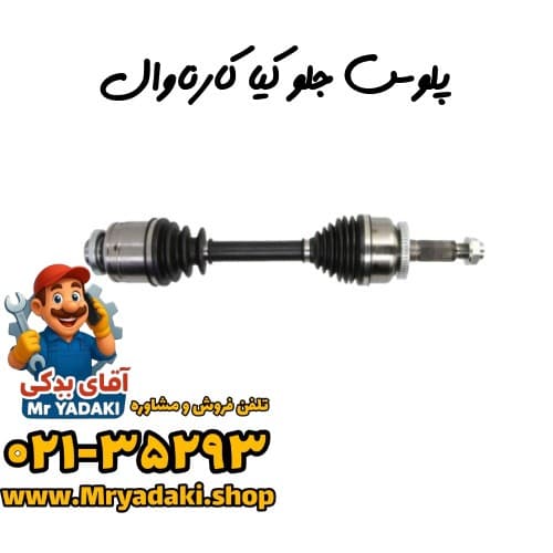 پلوس جلو کیا کارناوال