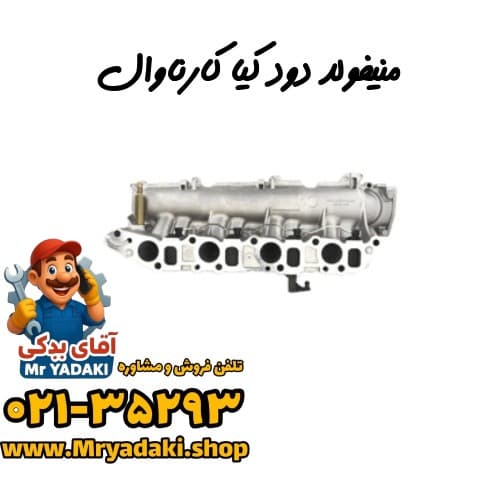 منیفولد دود کیا کارناوال