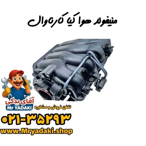 منیفولد هوا کیا کارناوال