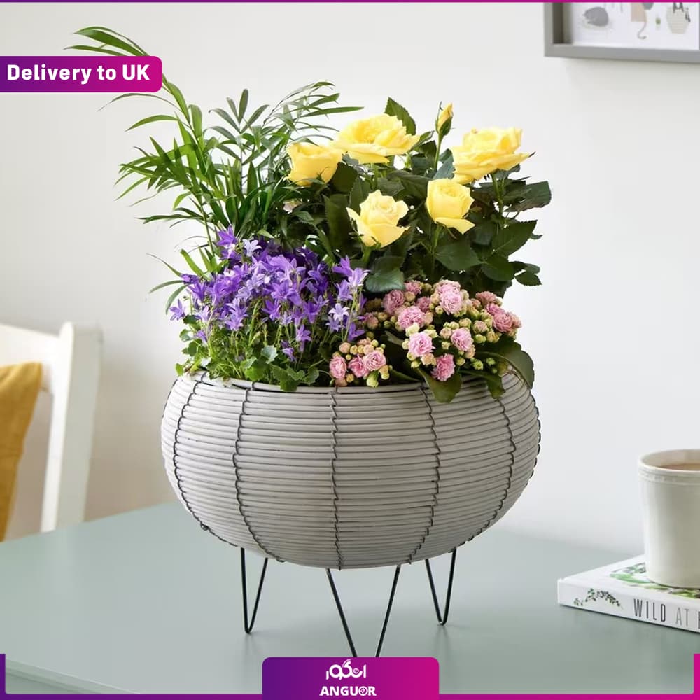 گلدان گل‌های رنگارنگ (Delivery to UK)