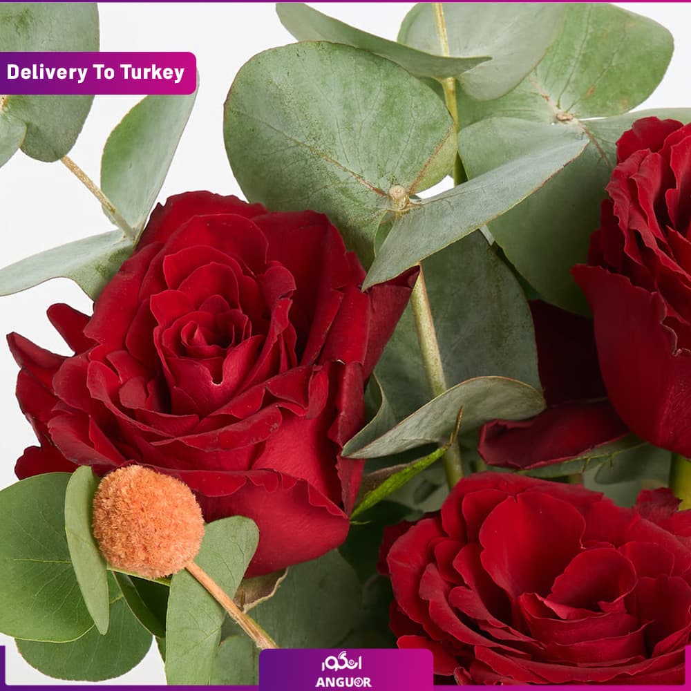 3 شاخه گل رز (ارسال گل به ترکیه) — تصویر ۳