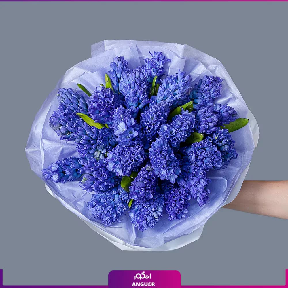 دسته گل سنبل بنفش 25 عددی