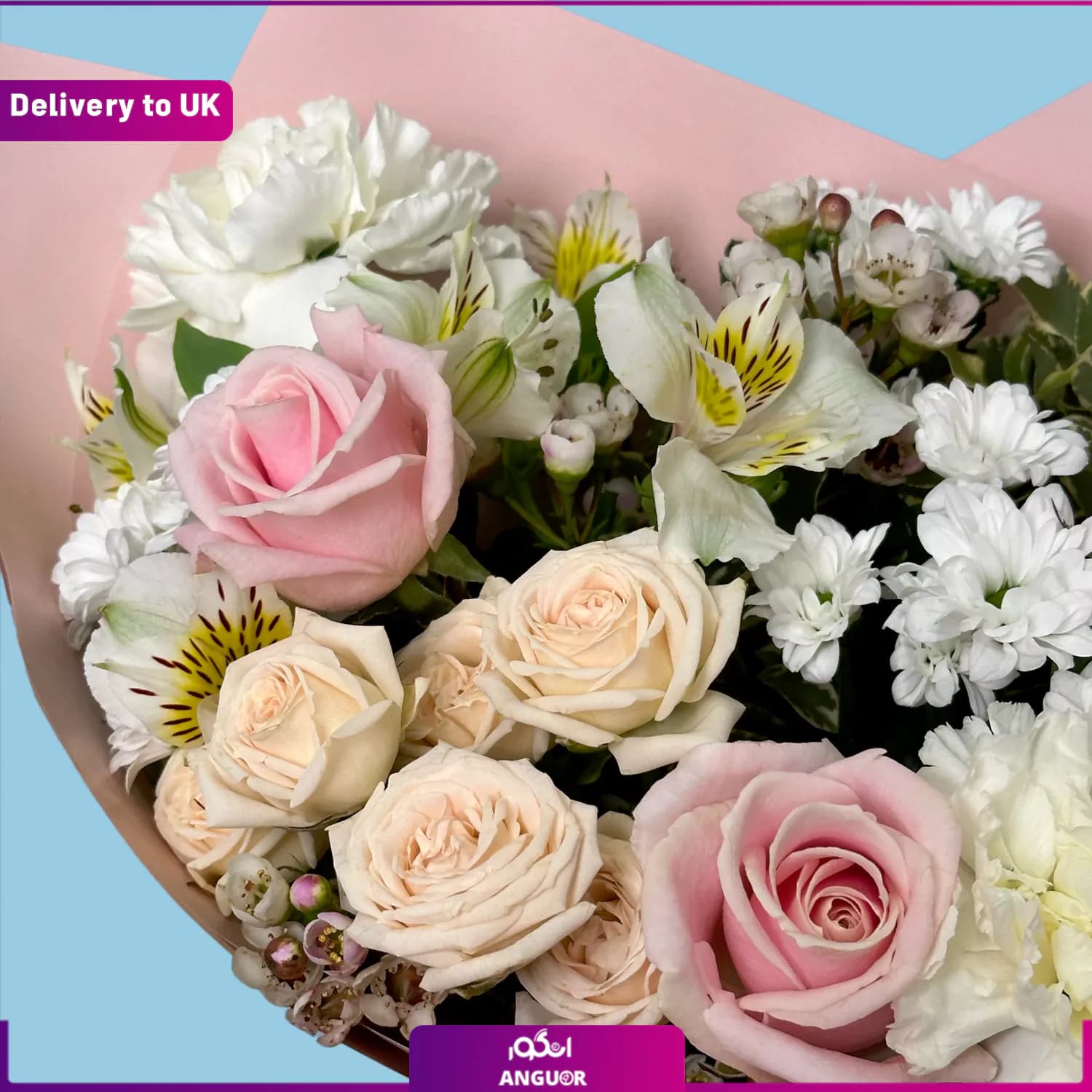 Lili (Delivery to UK) — تصویر ۳
