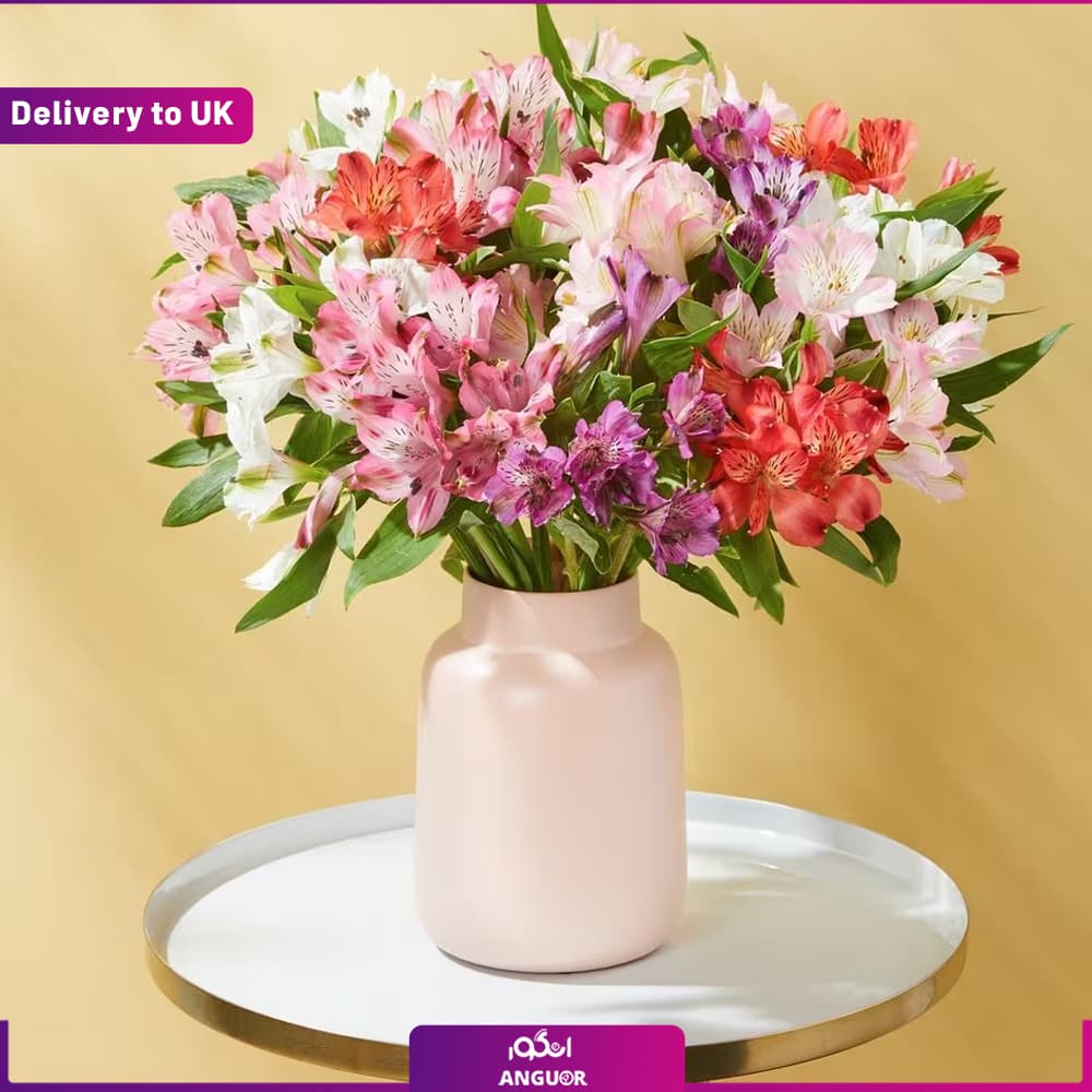 Amazing Alstroemeria (Delivery to UK)
