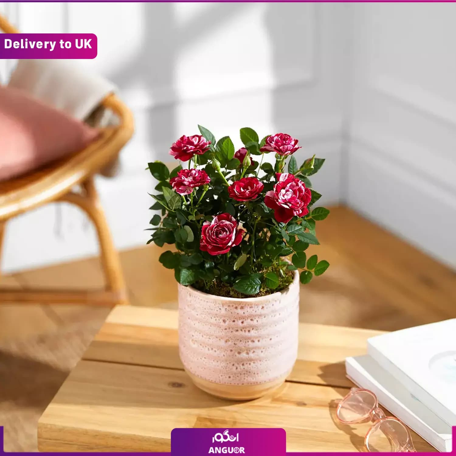 The Marble Rose (Delivery to UK)
