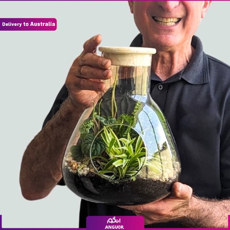Terrarium (Delivery in Australia) — تصویر ۲