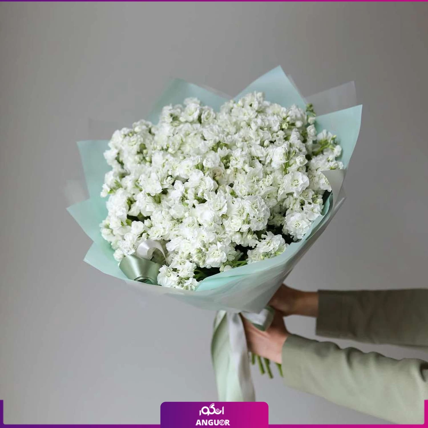 دسته گل شب بو (20 شاخه)
