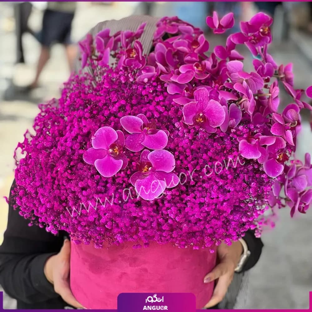 باکس گل ارکیده و ژیپسوفیلای صورتی — تصویر ۲