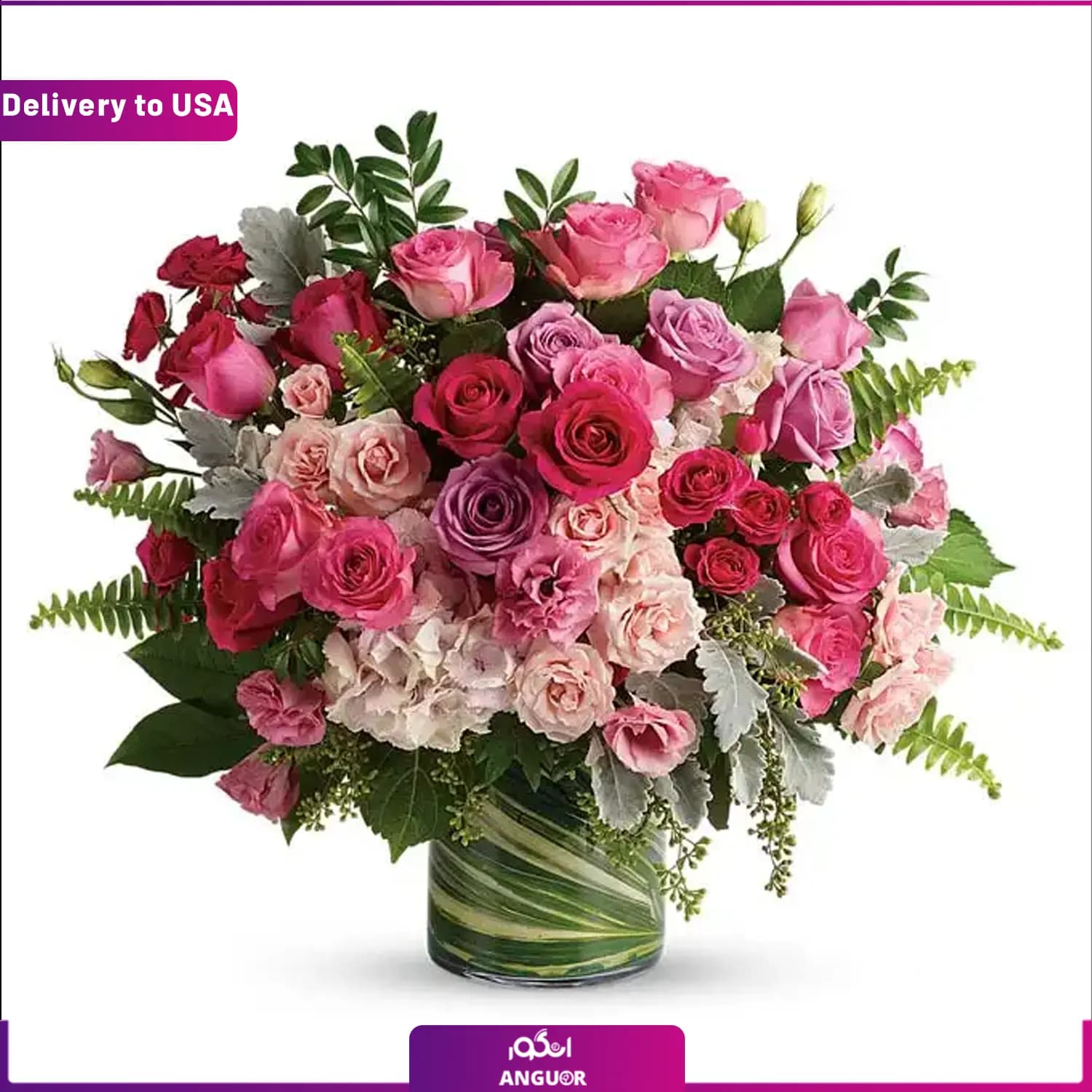 (Delivery to USA) Rouge Rose Garden