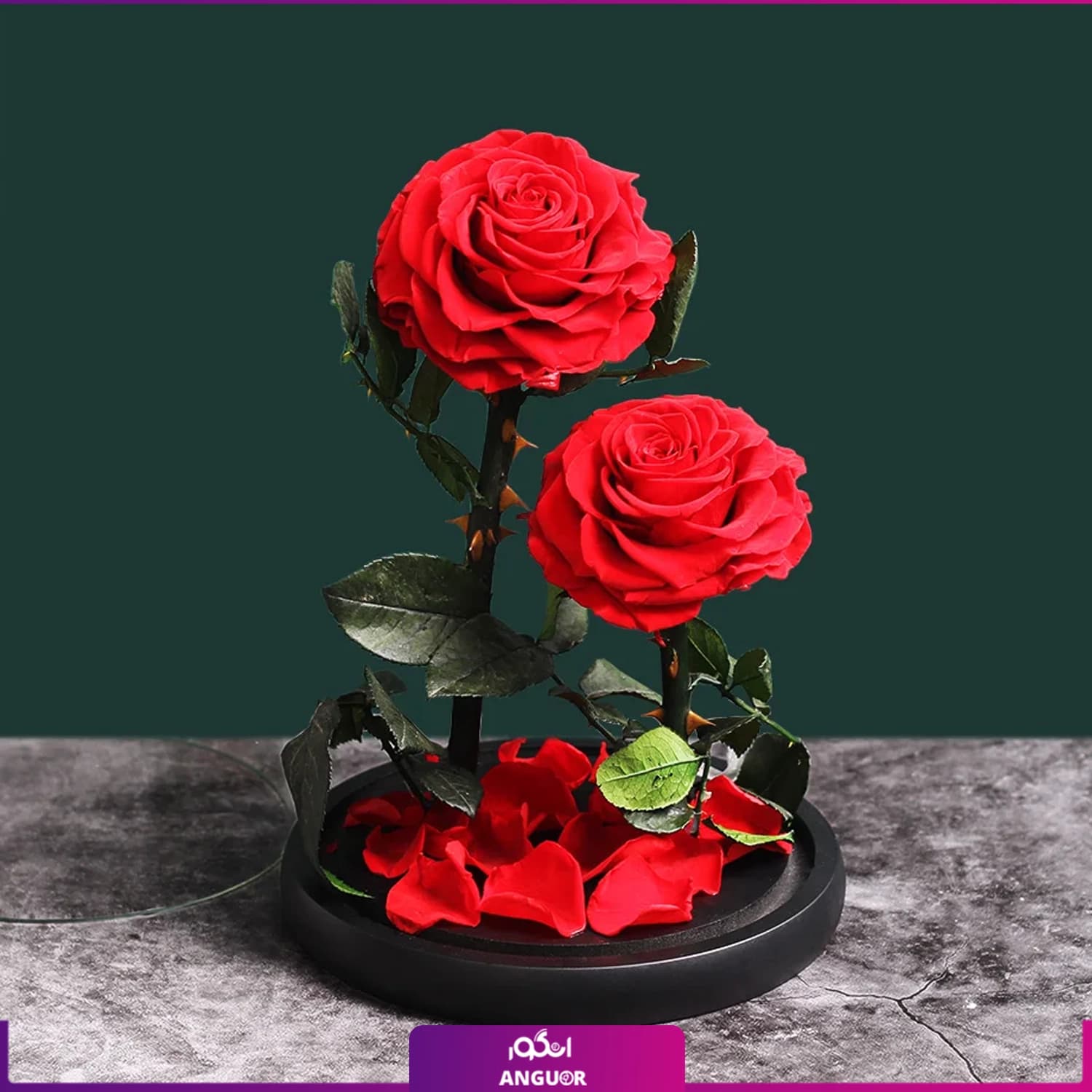 رز جاودان قرمز 3 شاخه تزئین شده — تصویر ۶