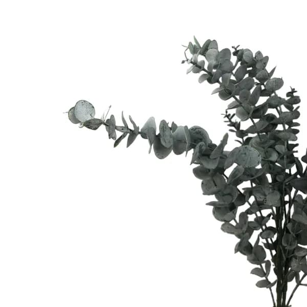گیاه مصنوعی اوکالیپتوس کد ۴ — تصویر ۷