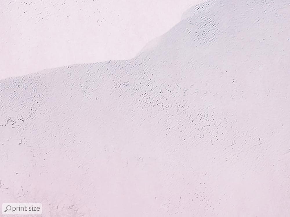 پوستر دیواری فلامینگو M10019600 — تصویر ۱۰