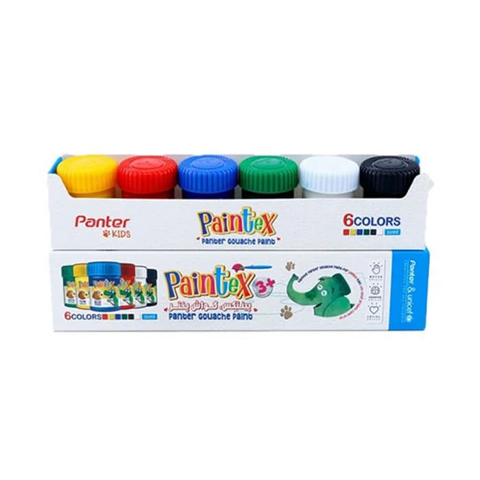 گواش نانو پوشرنگ پنتر ۶ رنگ یونیسف مدل Paintex