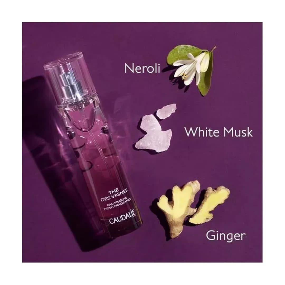 اسپری عطر کدلی The des Vignes حجم 50 میلی لیتری — تصویر ۷