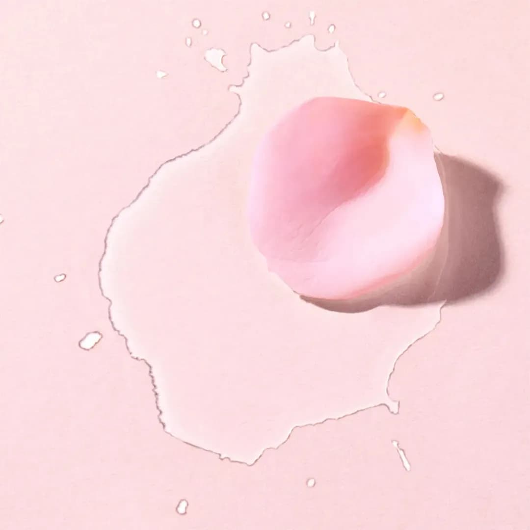 میسلار نوکس very rose حجم 400 میلی لیتری — تصویر ۴