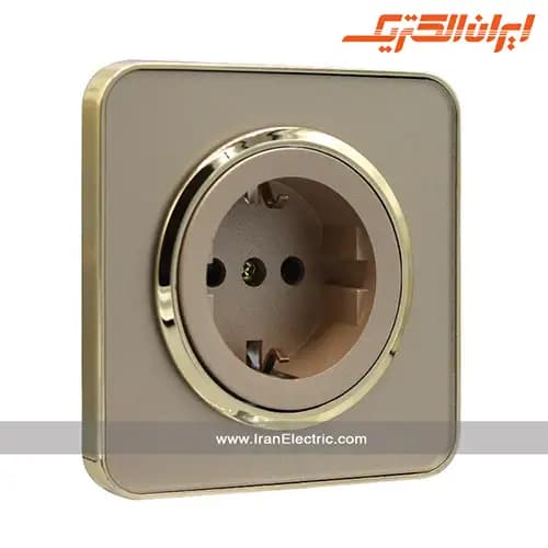 پریز برق ارت‌دار اسپیناس طلایی زه بژ میان بژ