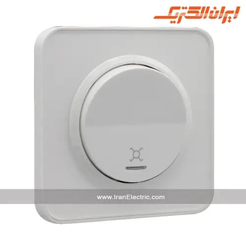 کلید کراکس اسپیناس سفید زه سفید — تصویر ۲