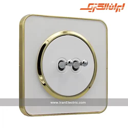 کلید دو پل اهرمی اسپیناس طلایی زه سفید میان سفید — تصویر ۶