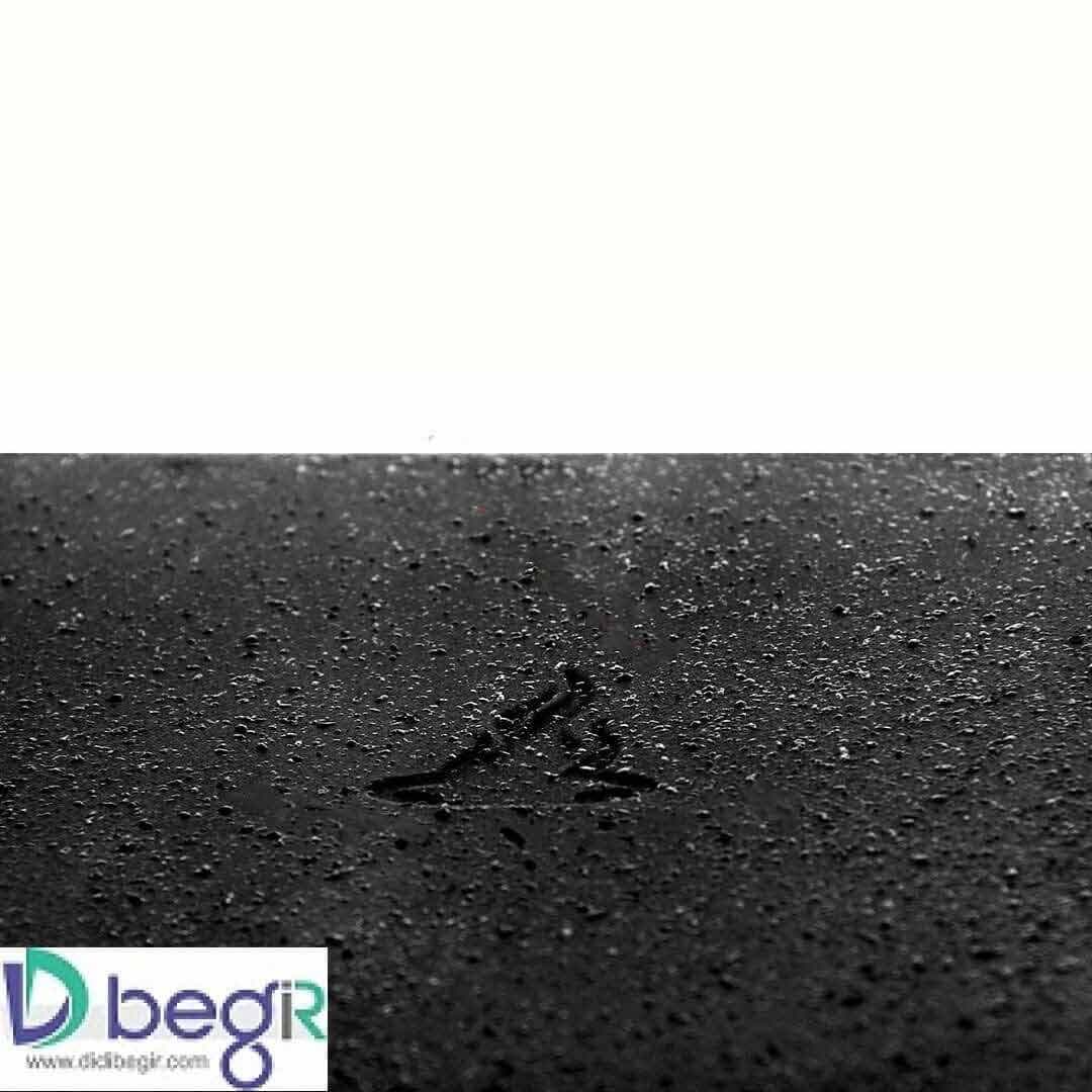 تابه گریل مدل PEM1 — تصویر ۳