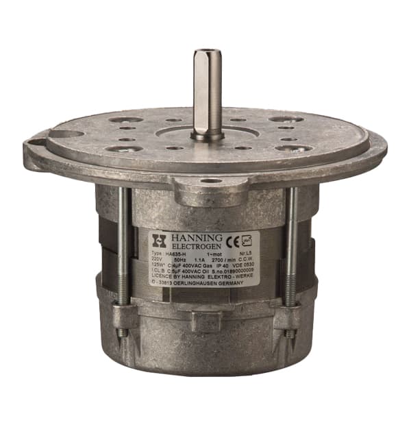 الکتروموتور مشعل 240 وات هنینگ HANING الکتروژن مدل H14240-B