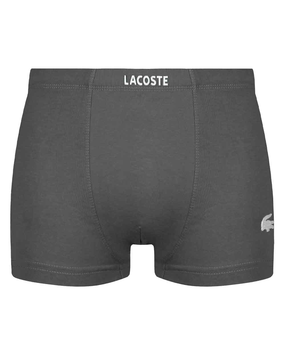 شورت پنبه لاکرا نیم پا LACOSTE سیلکا — تصویر ۶
