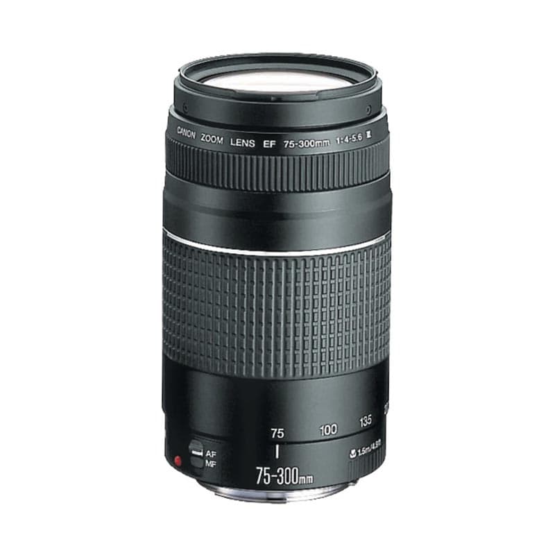 لنز کانن مدل EF 75-300 mm F/4.0-5.6 III — تصویر ۱۰