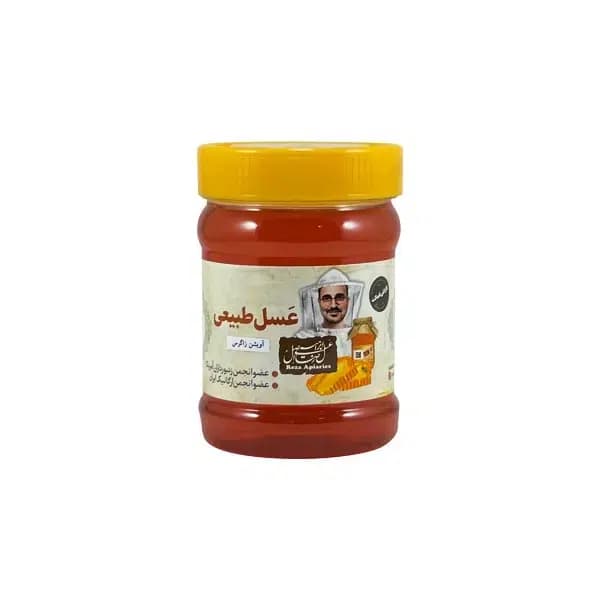 عسل طبیعی آویشن زاگرس 470 گرم — تصویر ۳