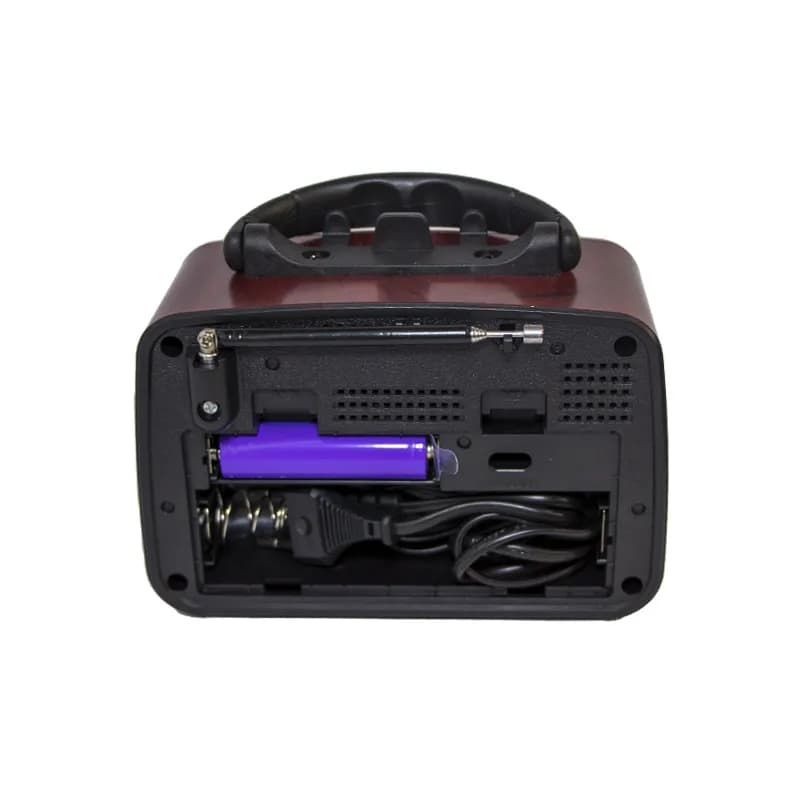 رادیو اسپیکر بلوتوثی فلش خور Golon RX-BT1110 — تصویر ۵