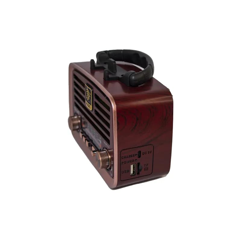 رادیو اسپیکر بلوتوثی فلش خور Golon RX-BT1110 — تصویر ۳