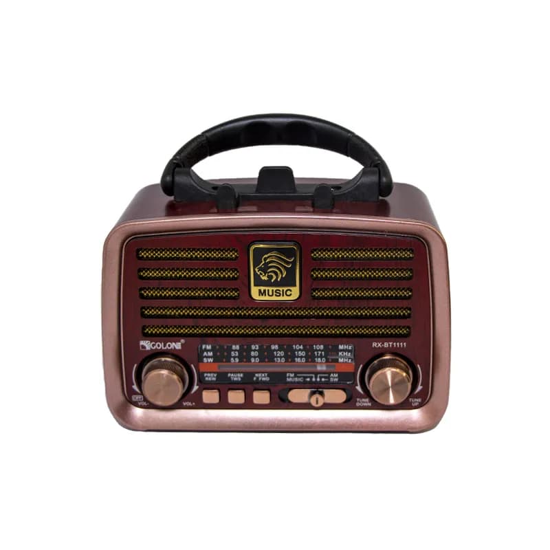 رادیو اسپیکر بلوتوثی فلش خور Golon RX-BT1110