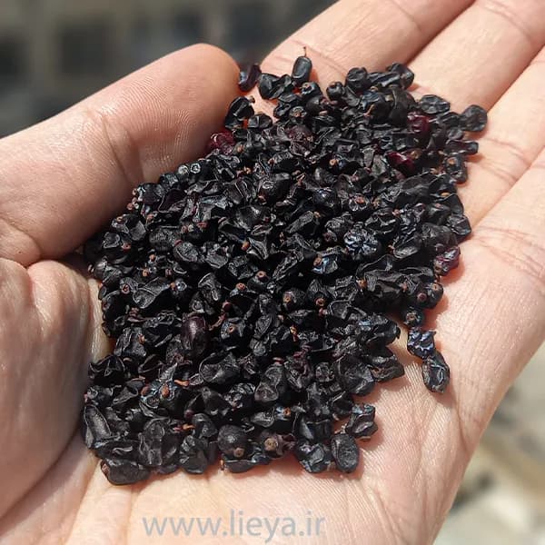 زرشک سیاه خورشت خلال — تصویر ۱۲
