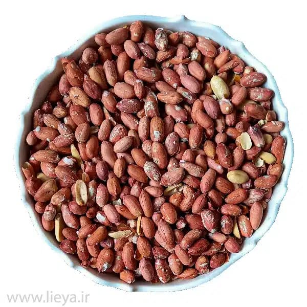 بادام زمینی آستانه – 1000 گرم — تصویر ۳