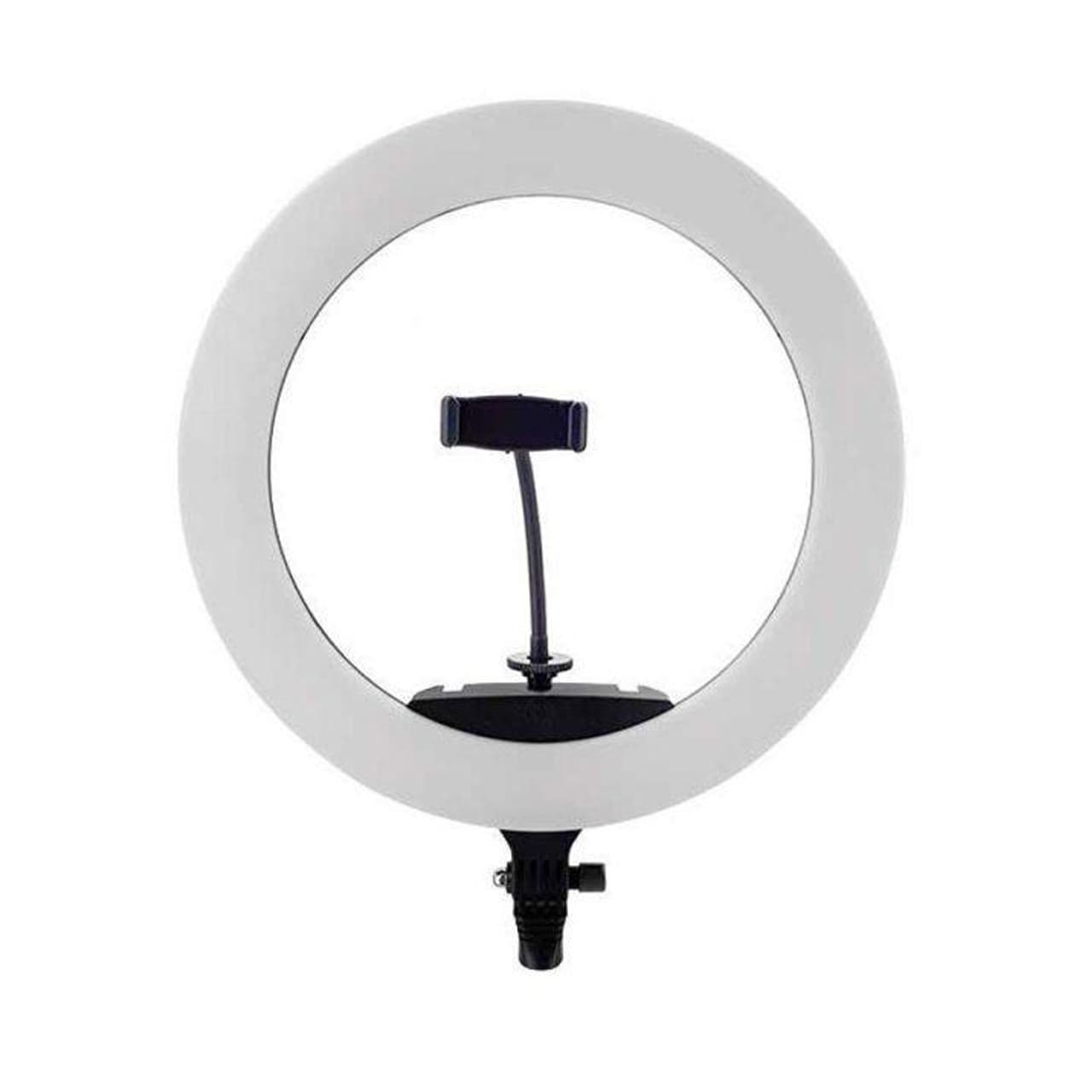 رینگ لایت 18 اینچ Zeus مدل BK-416II – به همراه آینه (بدون پایه)